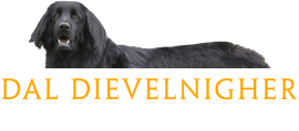 Dievelnigher.it Logo